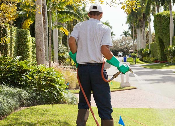About Colts Neck NJ Pest Control Pros
